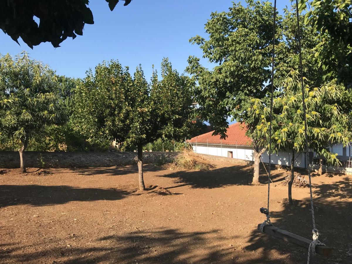 Olympus Beach Aigani Family House Экстерьер фото